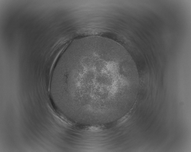 X0000056330166200509021639