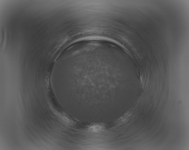 X0000056330168200509021639