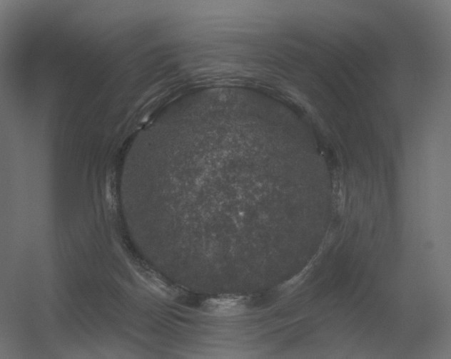 X0000056330170200509021639