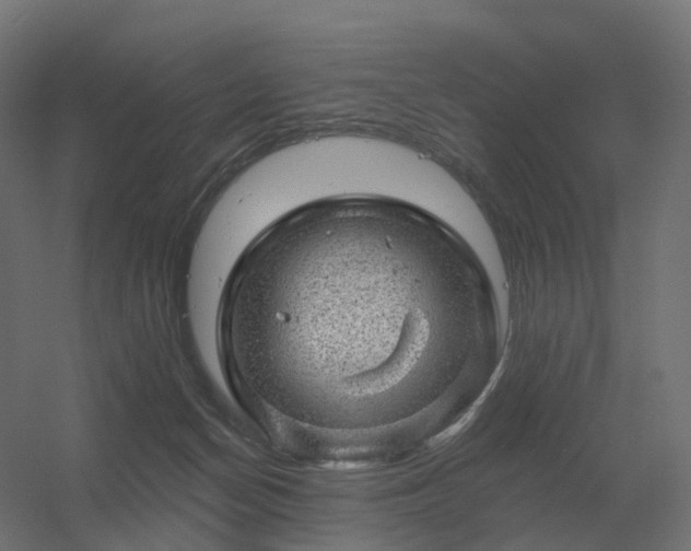 X0000056330174200509021639