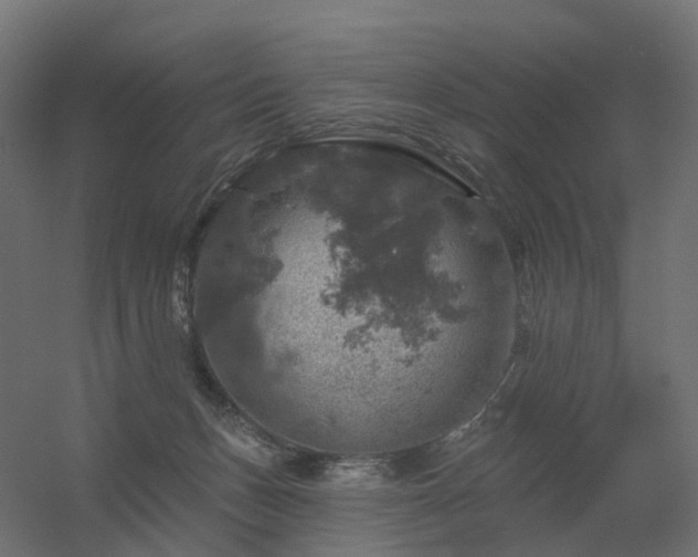 X0000056330175200509021639