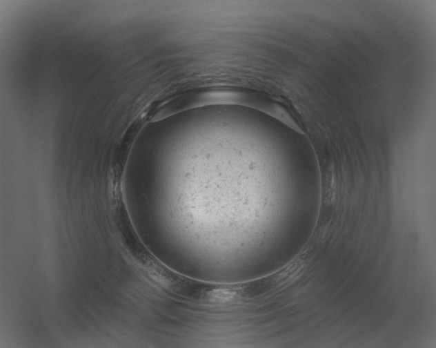 X0000056330176200509021639