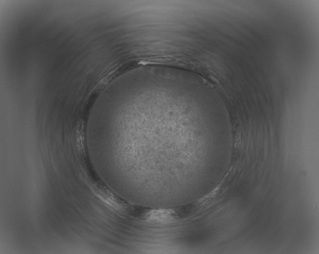 X0000056330179200509021639