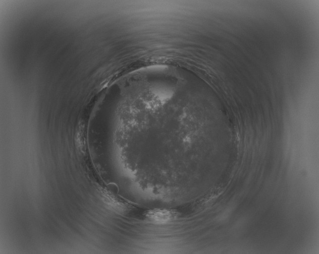 X0000056330181200509021639