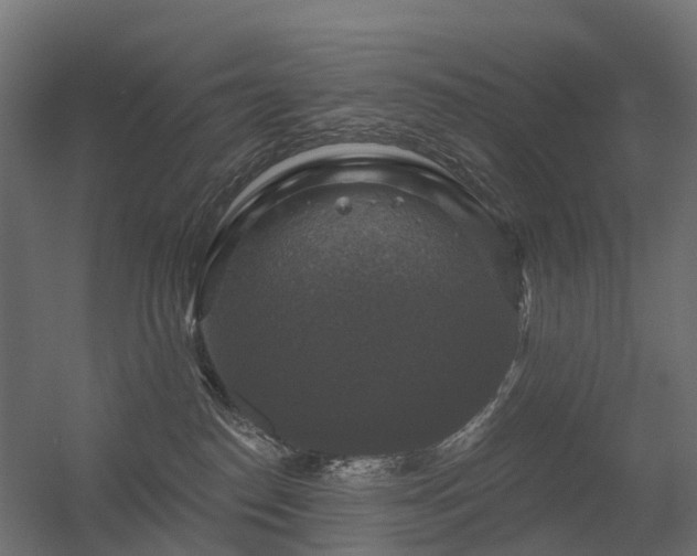 X0000056330186200509021639