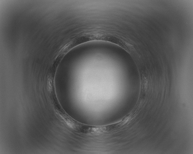 X0000056330188200509021639