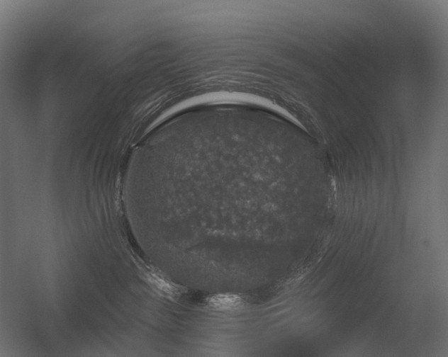 X0000056330189200509021639