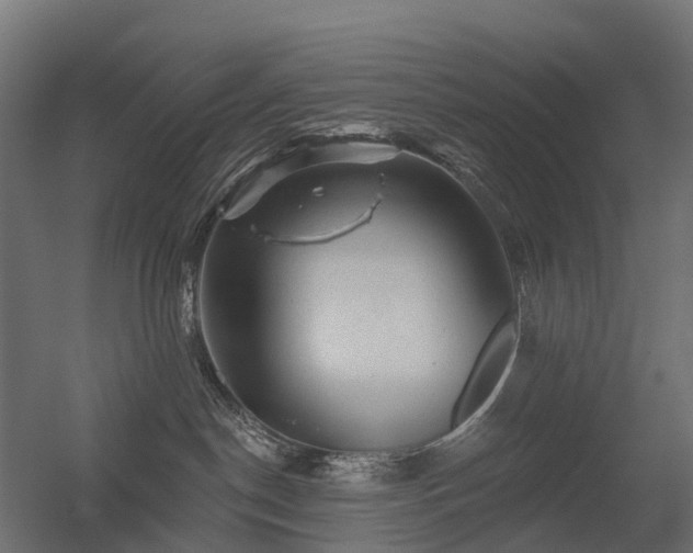 X0000056330190200509021639