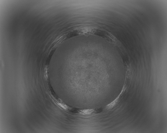 X0000056330191200509021639