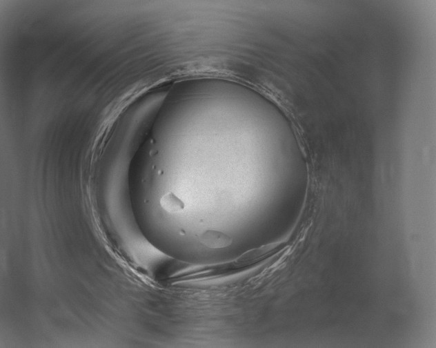 X0000056330193200509021638