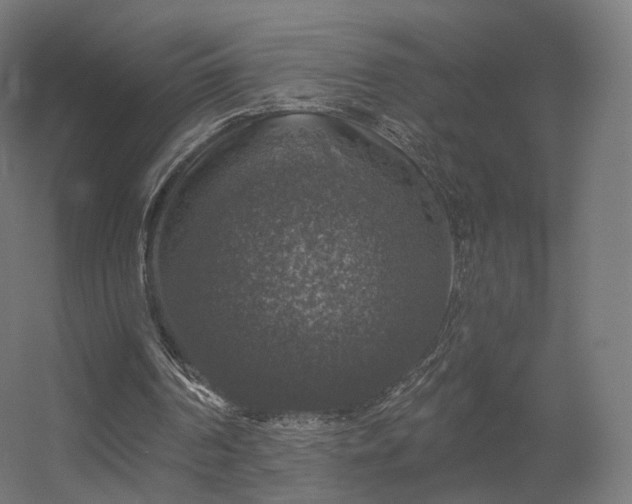 X0000056330194200509021638