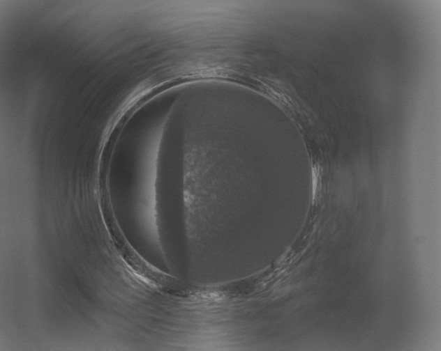 X0000056330195200509021638