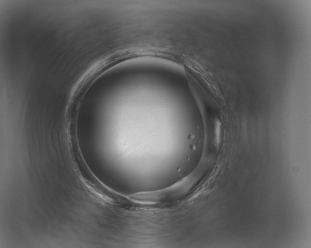 X0000056330197200509021638