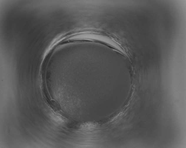 X0000056330198200509021638