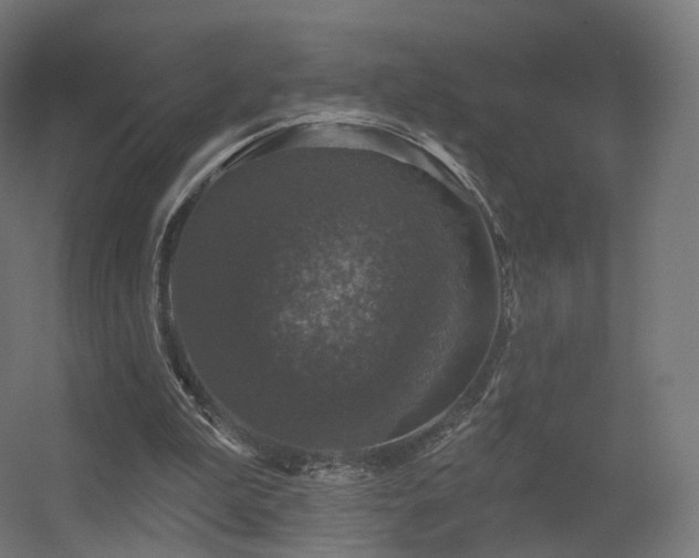 X0000056330199200509021638