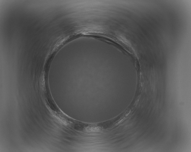 X0000056330202200509021638