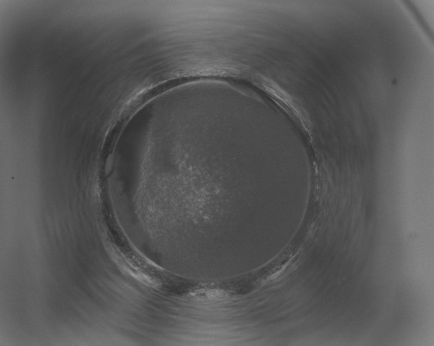 X0000056330203200509021638