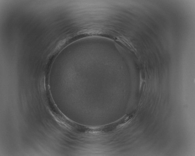 X0000056330205200509021638