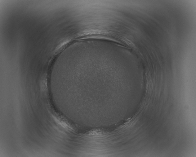 X0000056330207200509021638