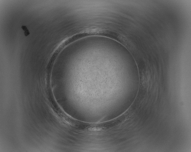 X0000056330208200509021638