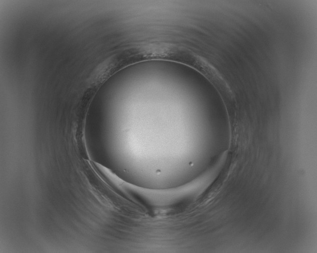 X0000056330209200509021638