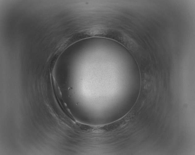 X0000056330210200509021638