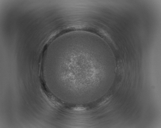 X0000056330212200509021638