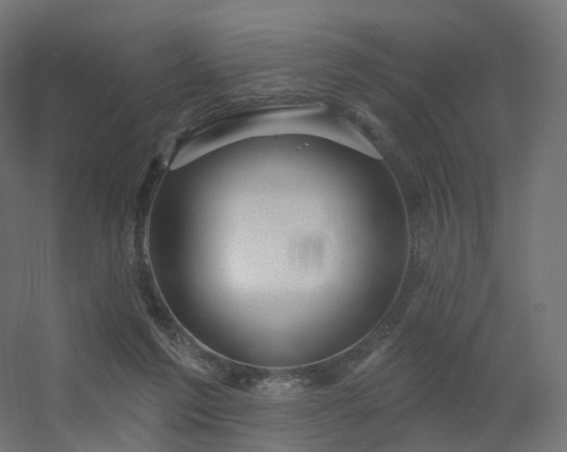 X0000056330213200509021638