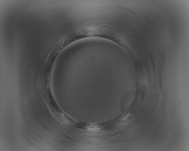 X0000056330214200509021638