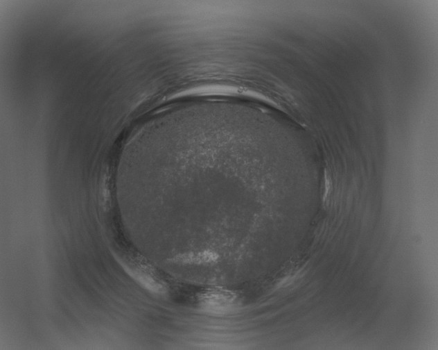 X0000056330215200509021638