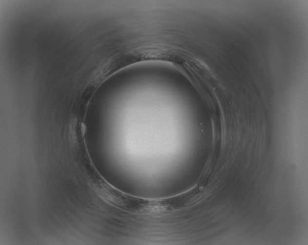 X0000056330217200509021638