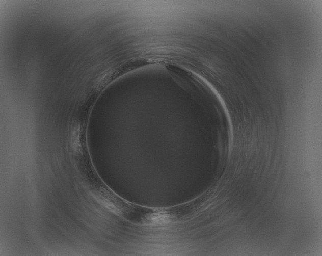 X0000056330219200509021638