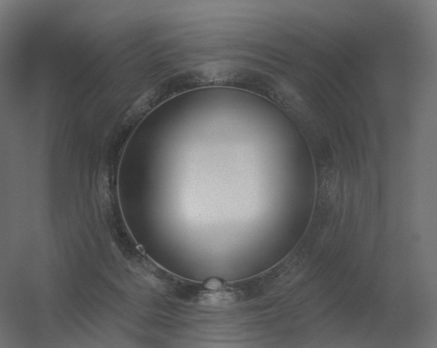 X0000056330220200509021638