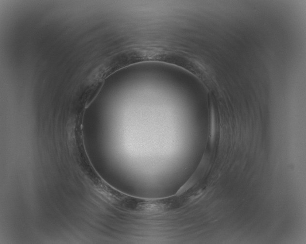 X0000056330221200509021638