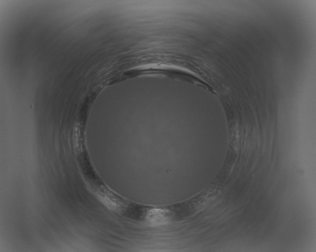 X0000056330222200509021638