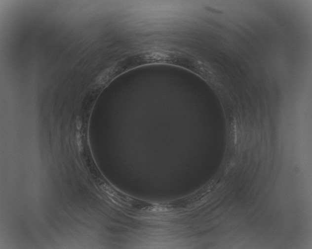 X0000056330223200509021638