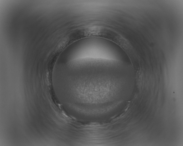 X0000056330224200509021638