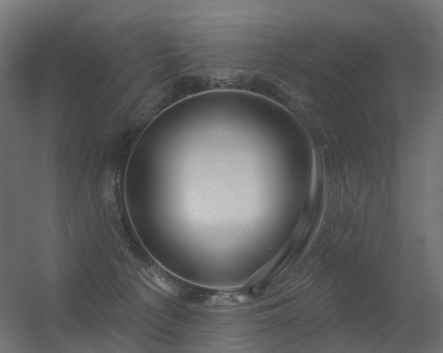 X0000056330225200509021638