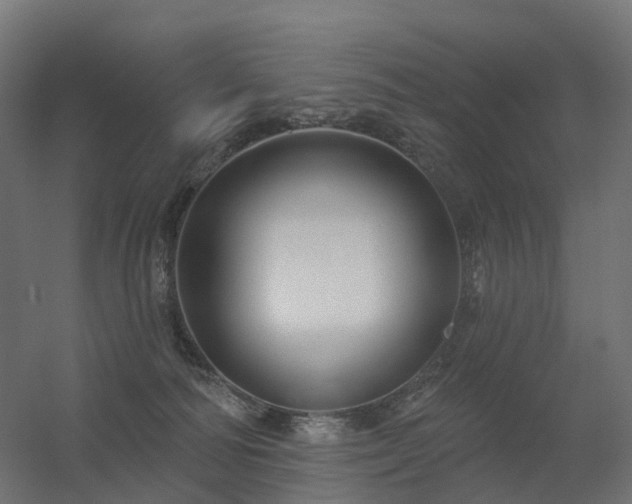 X0000056330226200509021638