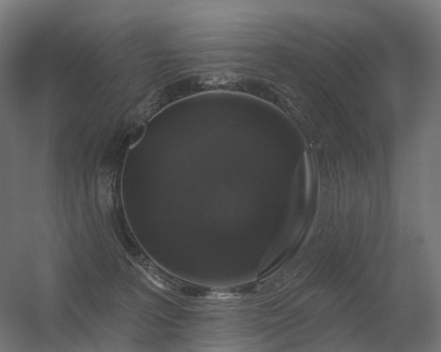 X0000056330227200509021638