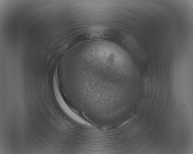 X0000056330228200509021638