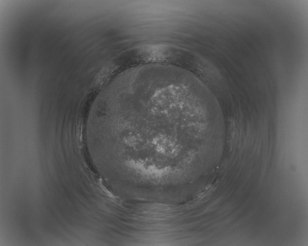 X0000056330230200509021638