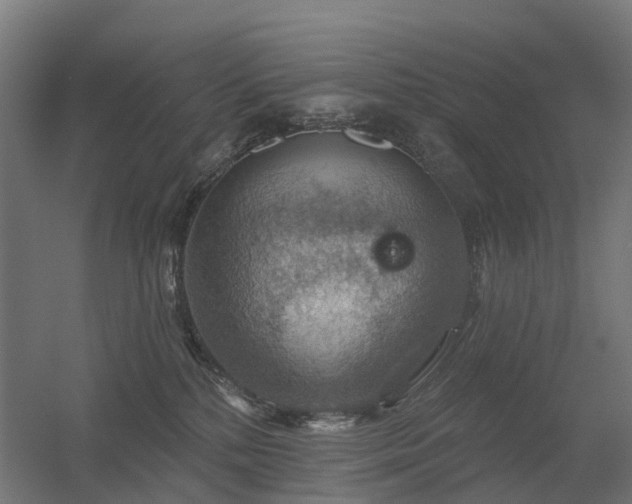 X0000056330232200509021638