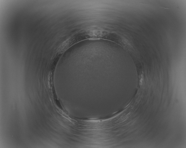 X0000056330233200509021637