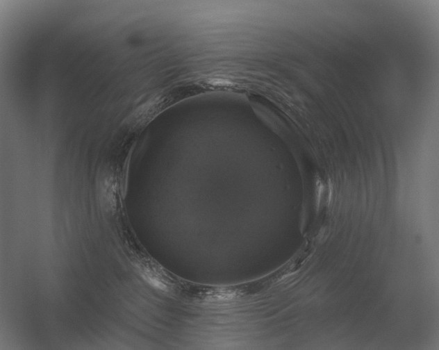 X0000056330235200509021637