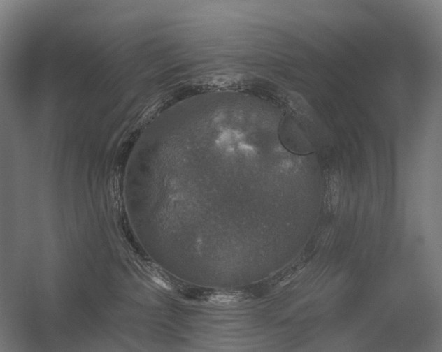 X0000056330236200509021637