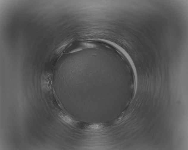 X0000056330237200509021637