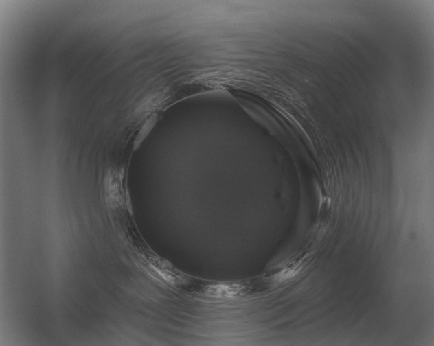 X0000056330239200509021637