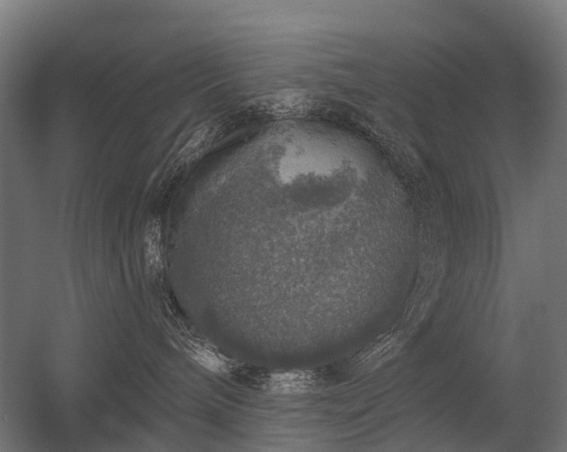 X0000056330240200509021637