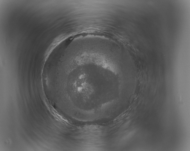 X0000056330242200509021637